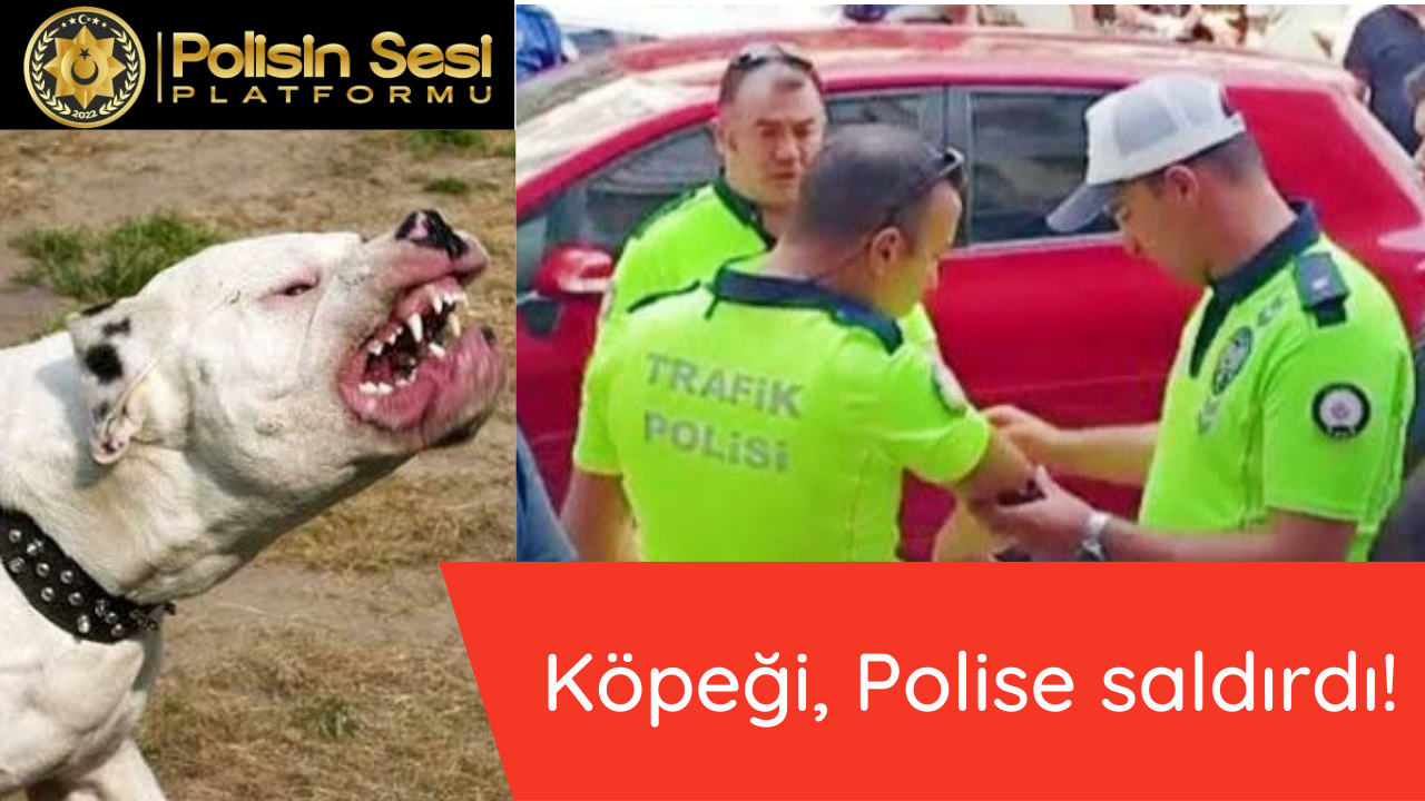 Kaçan Sürücü Köpeğini, POLİSE saldırttı!