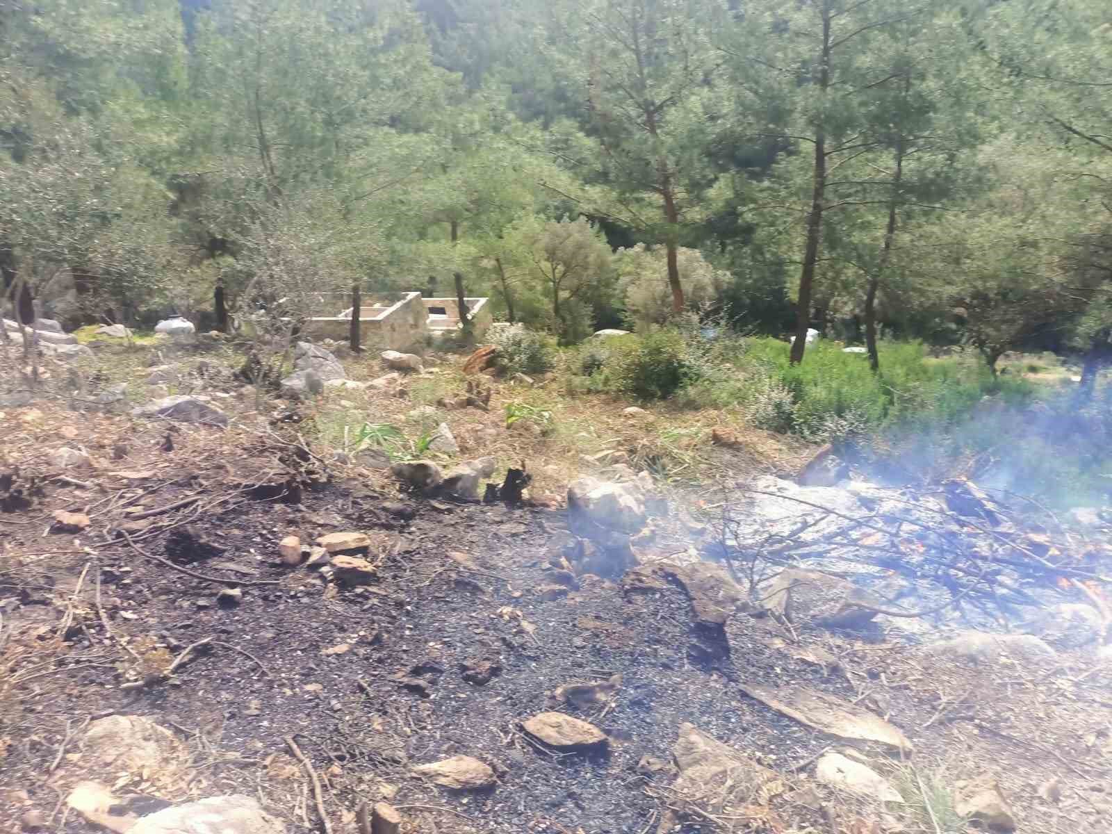Ağaçları kesip yaktılar: 20 gözaltı

