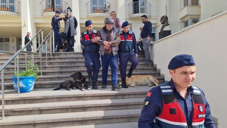 Bodrum’da 12 hayvanı zehirlediği iddia edilen şahıs yakalandı
