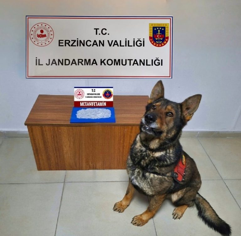 Erzincan’da jandarmadan uyuşturucu operasyonu: 1 tutuklama