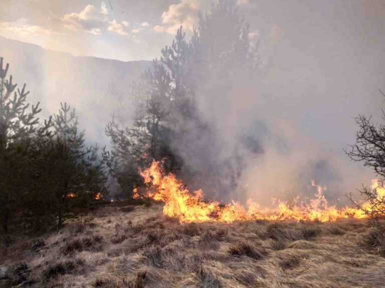 Kastamonu’da ormanlık alanda çıkan yangın söndürüldü