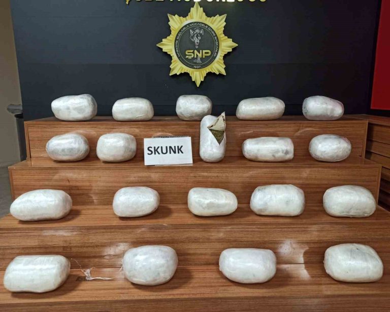 Şanlıurfa’da 20 kilogram uyuşturucu ele geçirildi