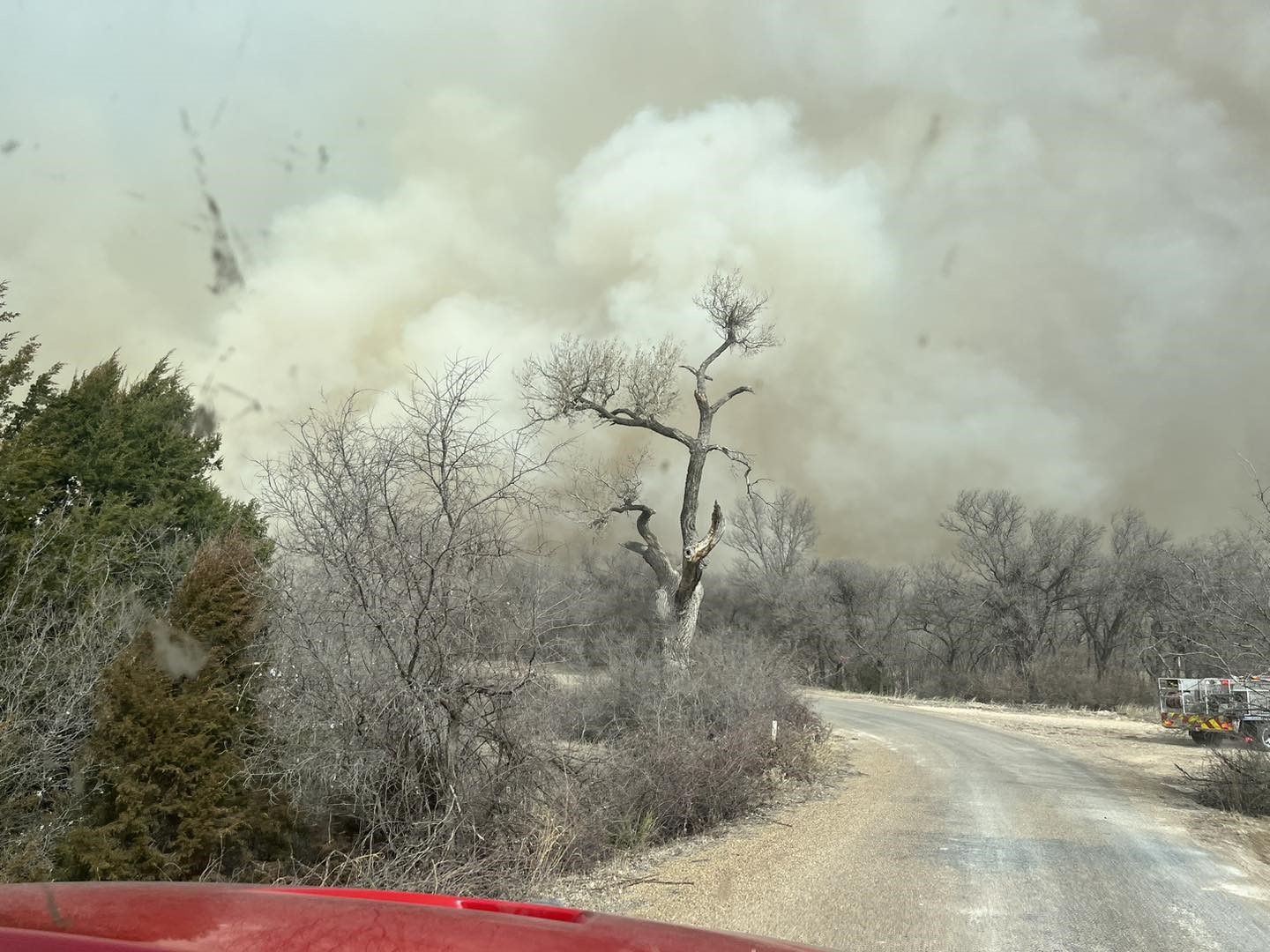 Texas’ta orman yangınları: İtfaiyeciler alevlerin arasında kaldı
