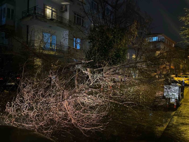 Ankara’da fırtına nedeniyle ağaç devrildi