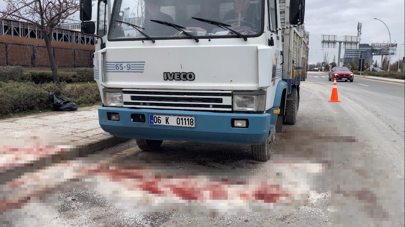 Ankara’da küçükbaş hayvan yüklü kamyon devrildi: 1 yaralı
