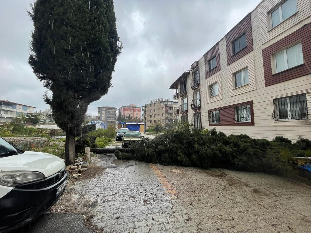 Antakya’da kuvvetli fırtına ağacı yola devirdi
