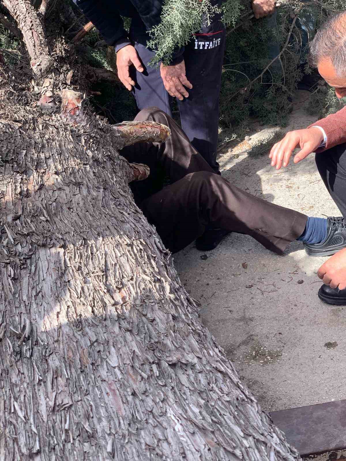 Burdur’da üzerine ağaç devrilen belediye başkan adayı ve oğlu ağır yaralandı
