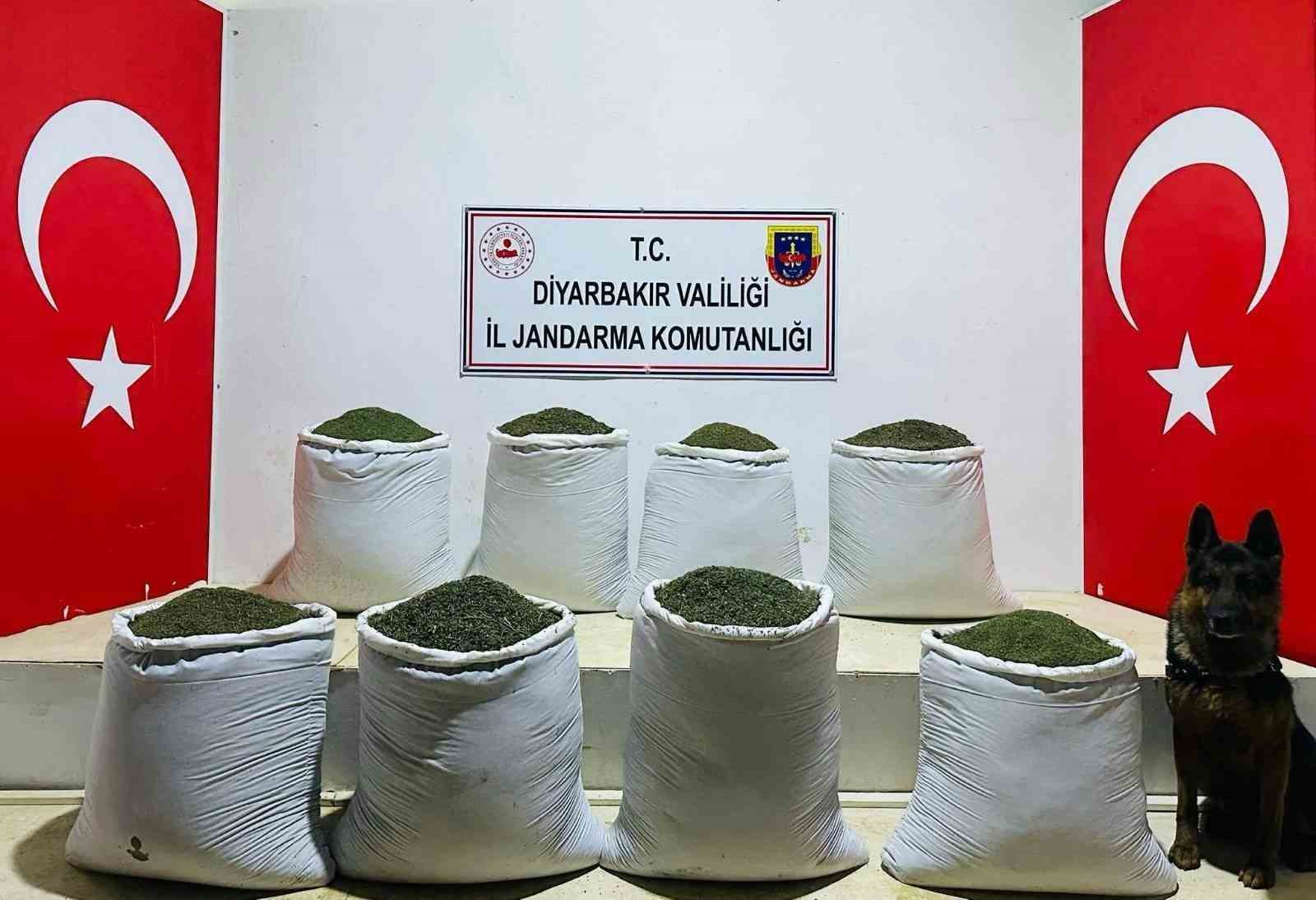 Diyarbakır’da 169 kilo esrar ele geçirildi