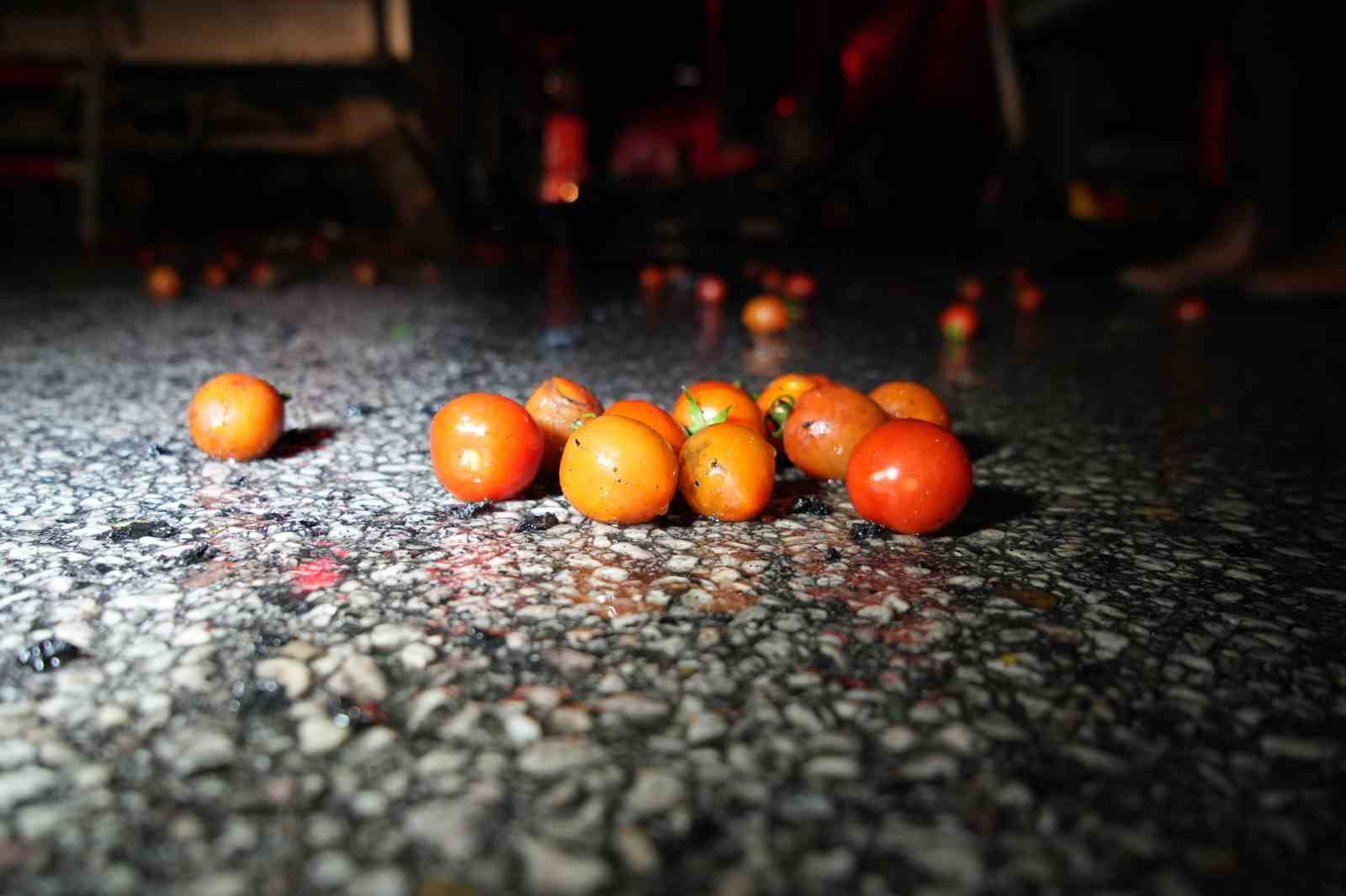 Edirne’de domates yüklü tır yanarak hurdaya döndü
