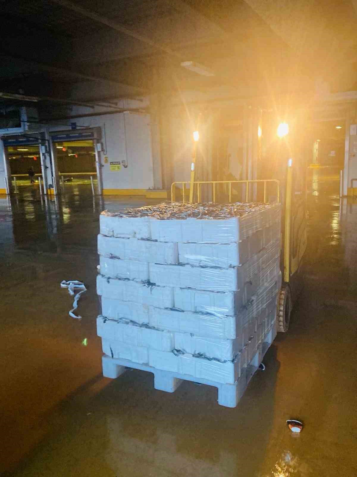 İstanbul’da kaçak avlanmış 8 ton istavrit balığı ele geçirildi
