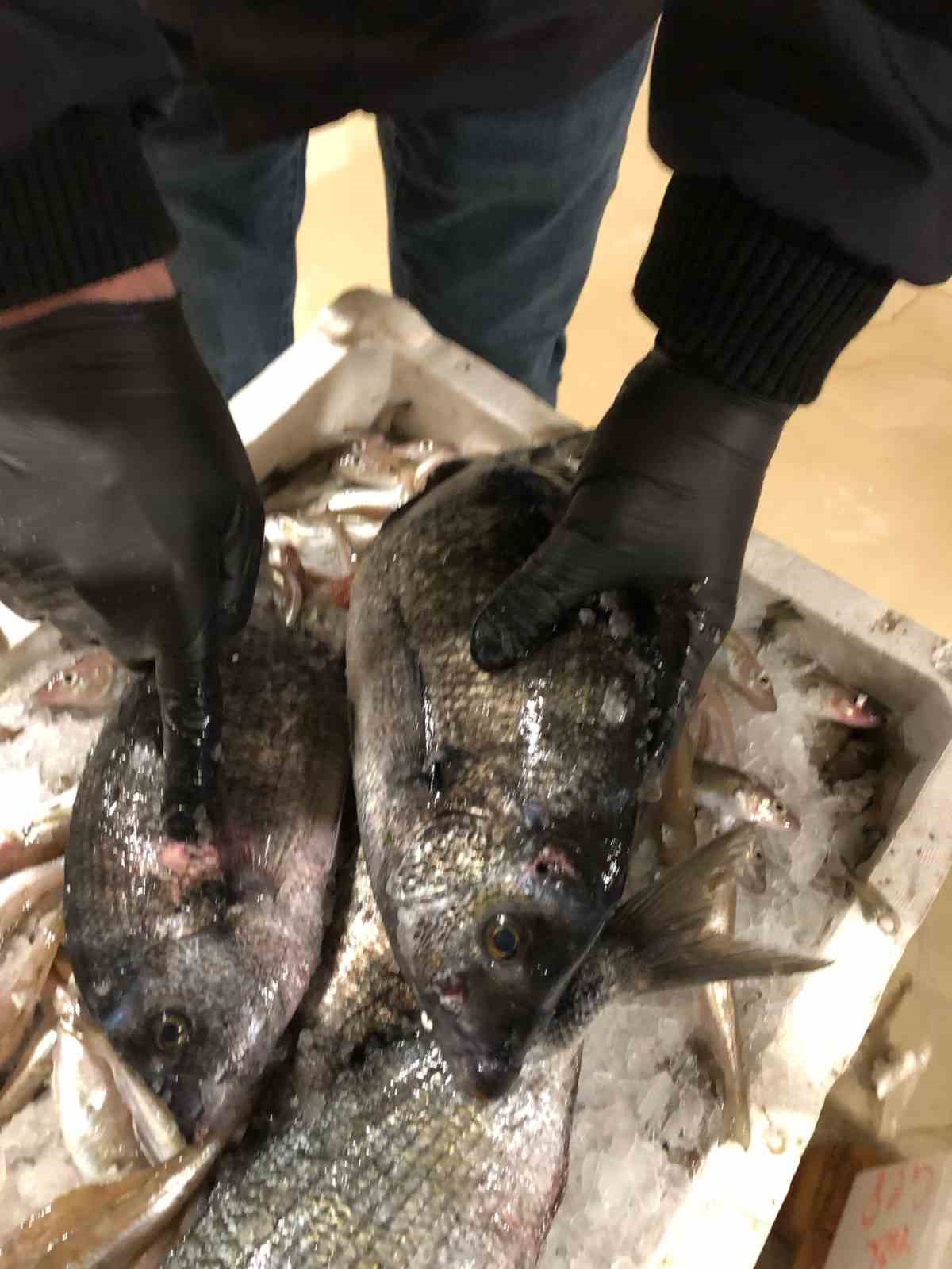 İstanbul’da yasa dışı ticari avcılık denetimi: 4 ton balığa el konuldu
