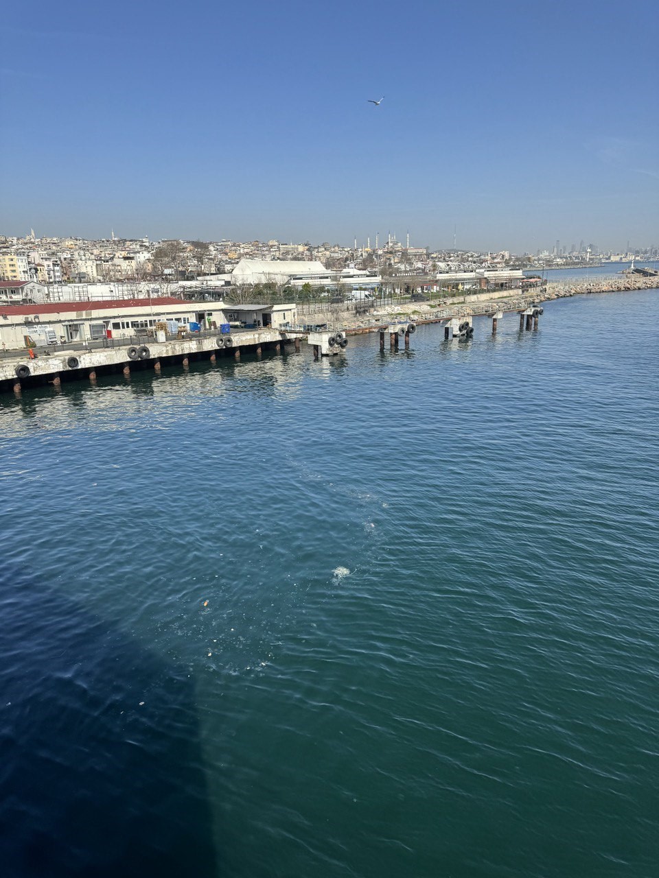 İstanbul sahillerinde çöp birikintisi
