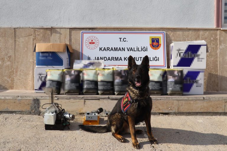 Jandarma’dan kaçak tütün operasyonu: 2 tutuklama