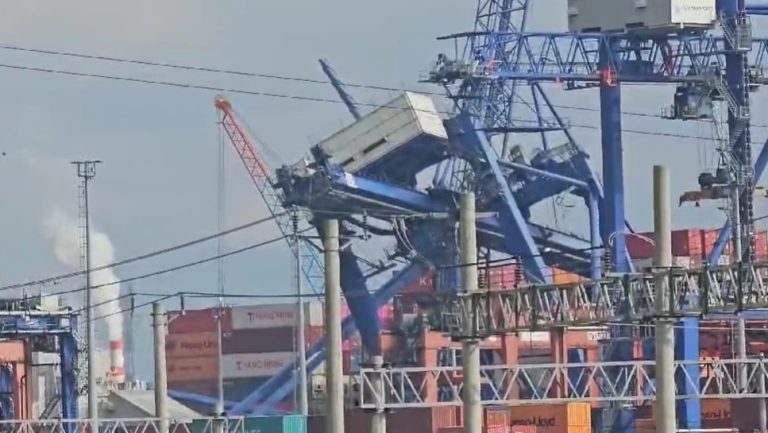 Kocaeli’de uluslararası limanda 3 yükleme vinci devrildi, çok sayıda ekip bölgeye sevk edildi