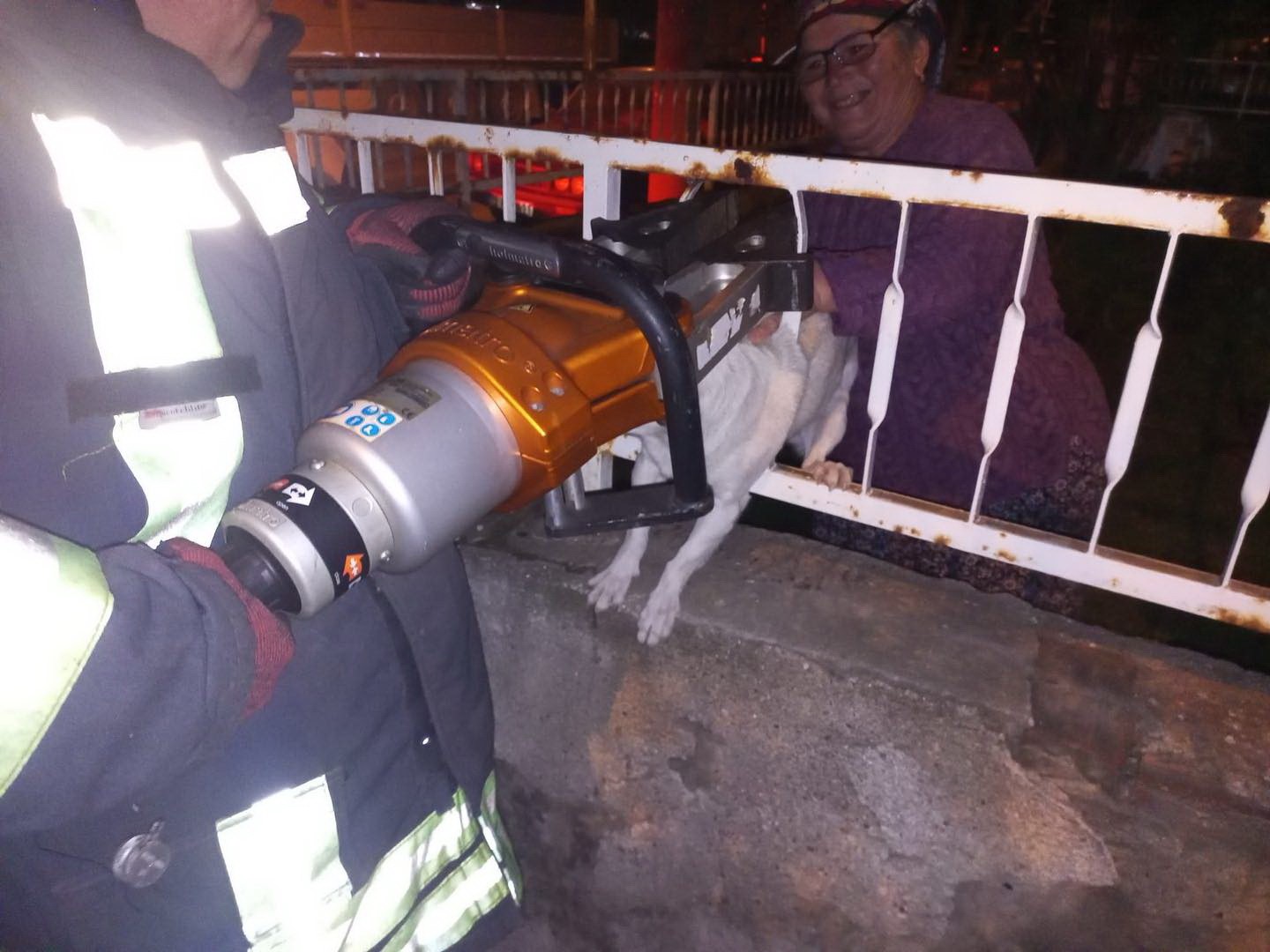 Korkuluk demirine sıkışan köpek kurtarıldı
