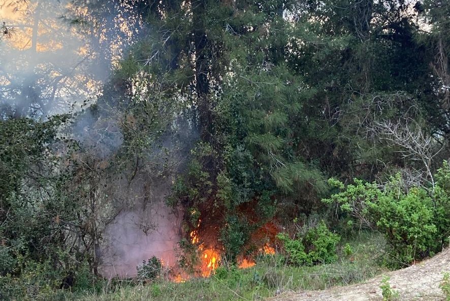Osmaniye’de yıldırım düşen ormanlık alanda yangın çıktı
