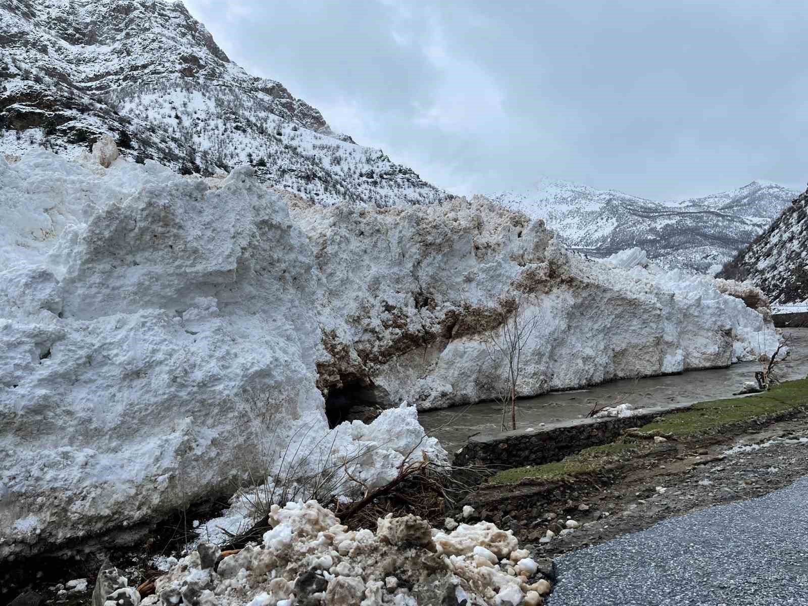 Pervari-Çatak yolu çığ nedeniyle ulaşıma kapandı