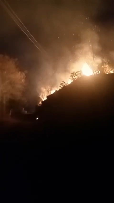 Rize’de ormanlık alanda yangın çıktı: 10 dönüm arazi zarar gördü
