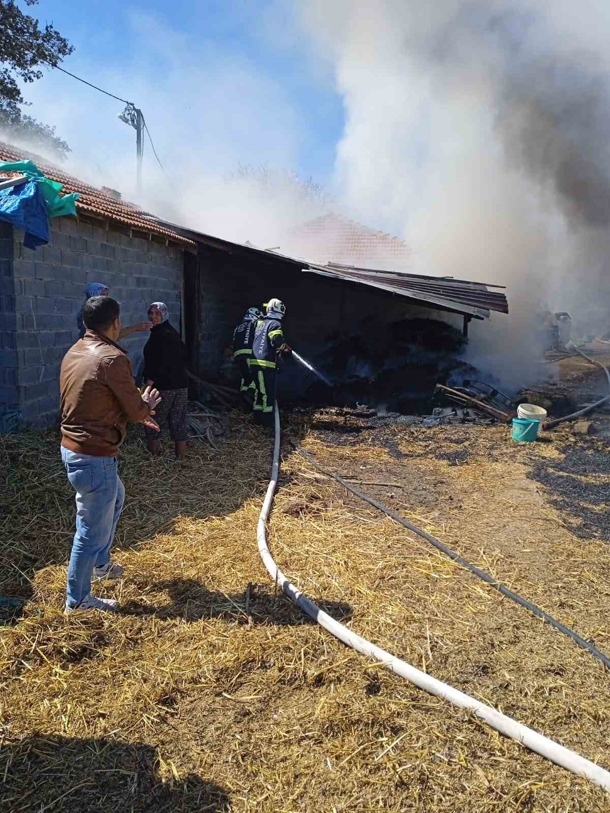 Samanlık alevlere teslim oldu
