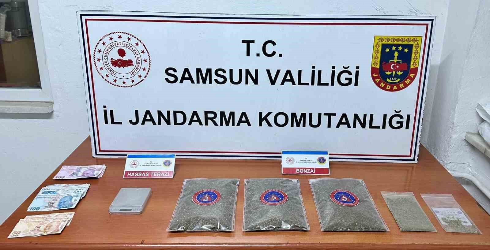 Samsun’da jandarma 1 kilo 50 gram bonzai ele geçirdi: 1 gözaltı