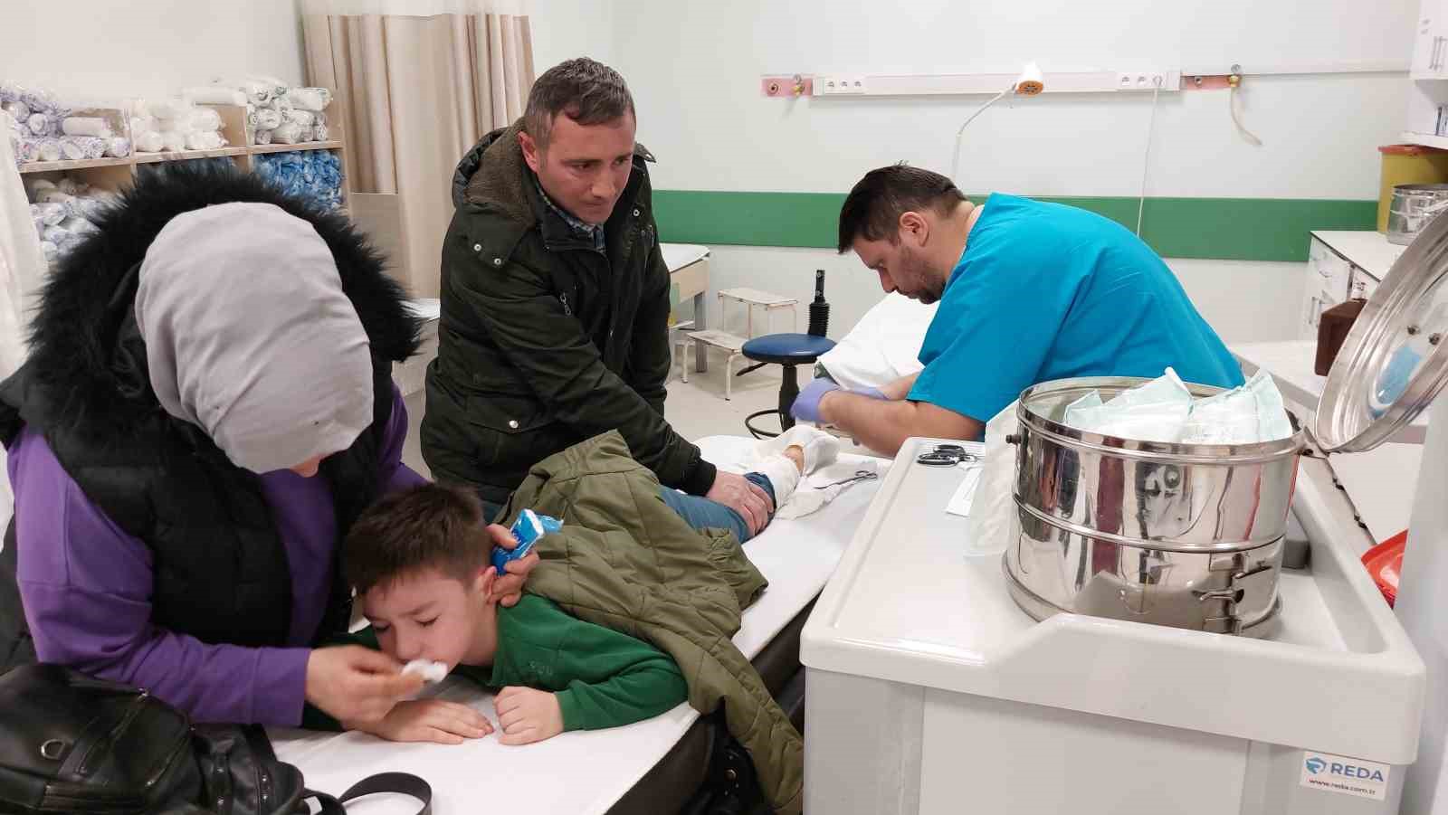 Samsun’da köpek dehşeti: 7 yaşındaki çocuk hastanelik oldu
