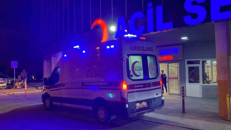 Tercan’da trafik kazası: 7 yaralı
