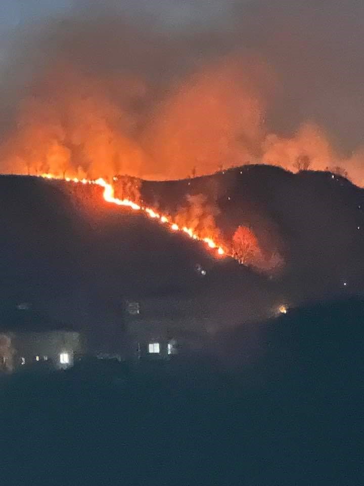 Trabzon’da orman yangını