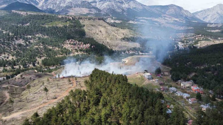 Adana’daki orman yangını hızlı müdahaleyle söndürüldü
