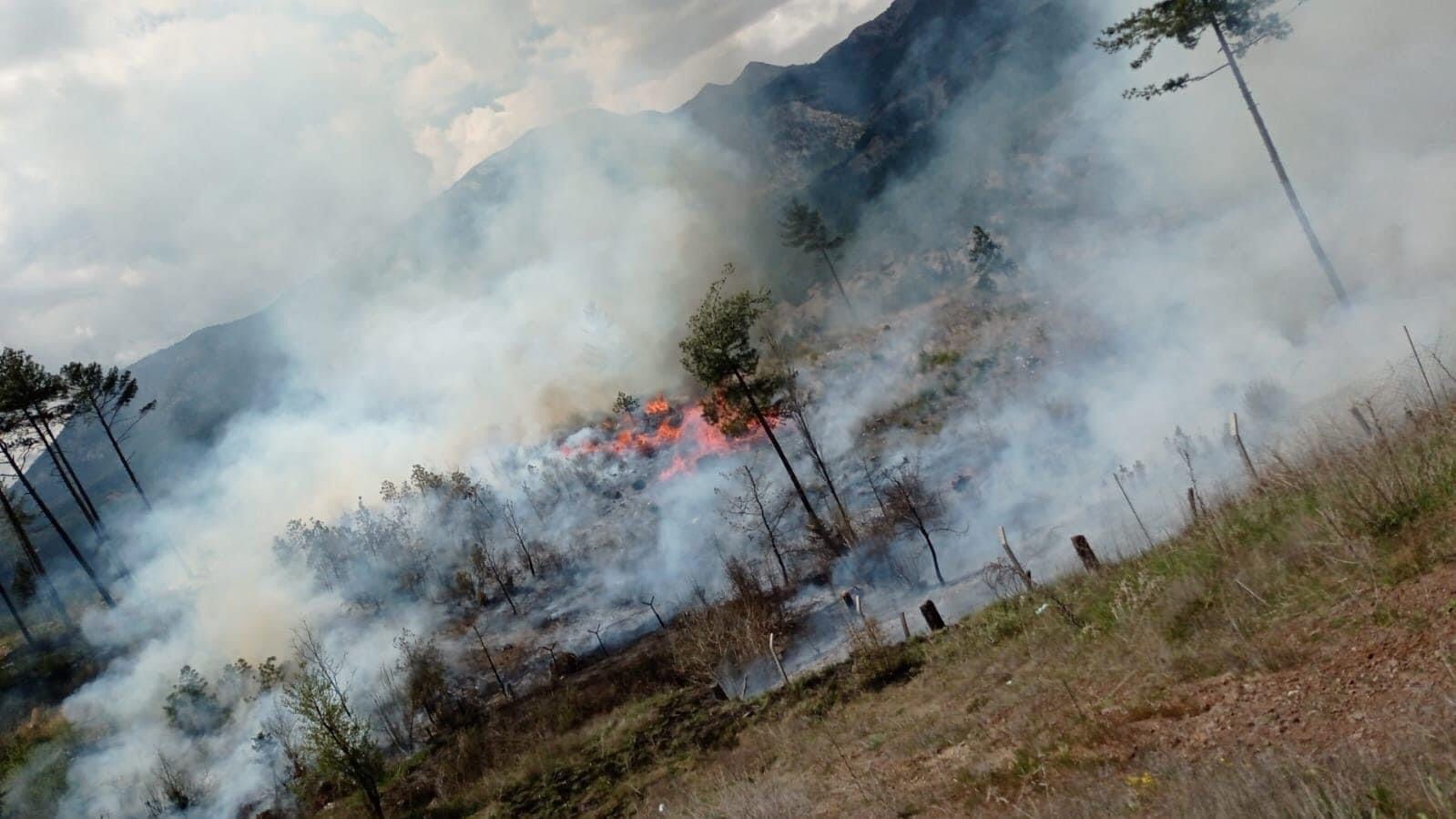 Adana’daki orman yangını hızlı müdahaleyle söndürüldü
