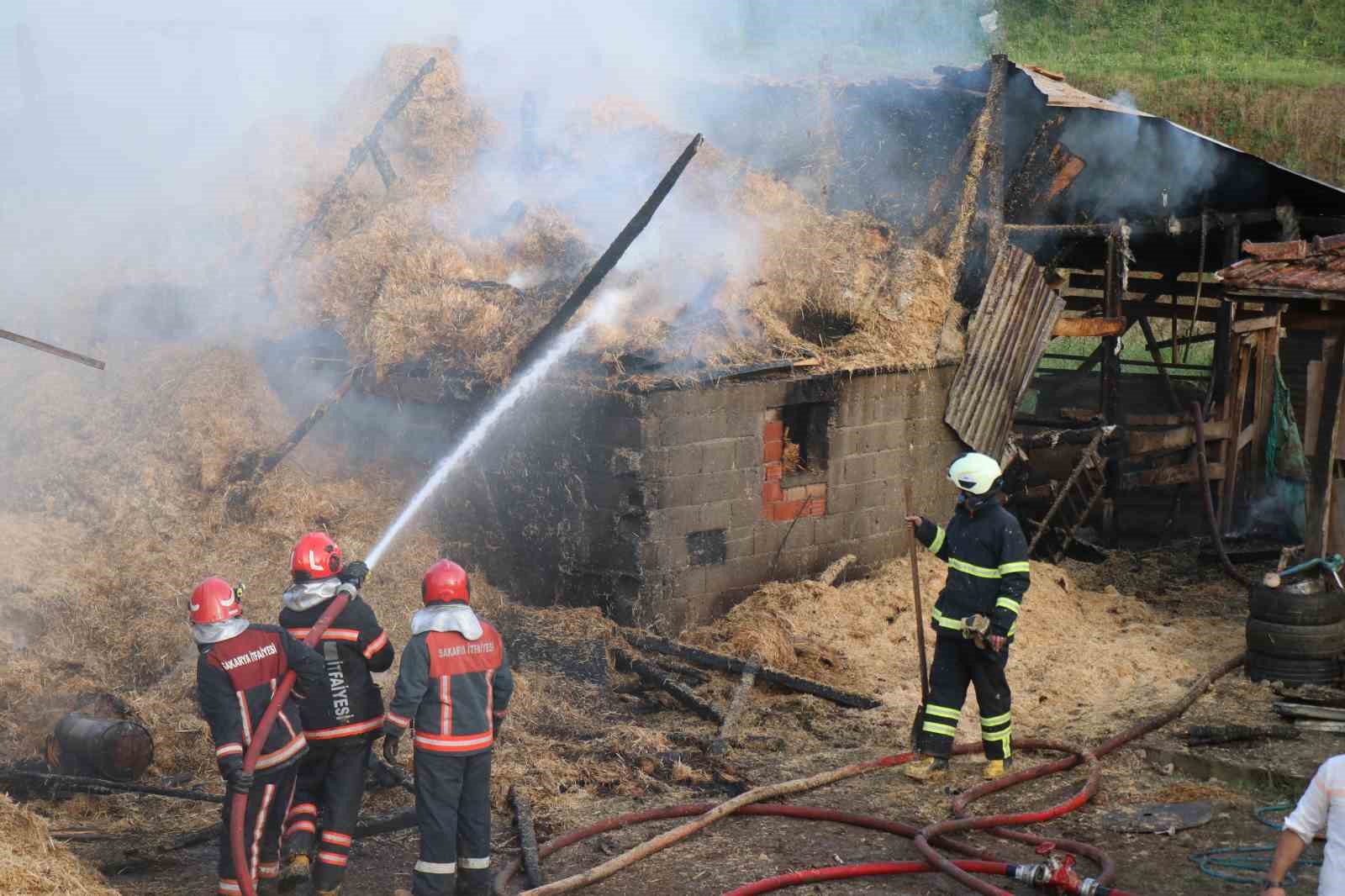 Ahırda başlayan yangın besi çiftliğini kül etti: 25 büyükbaş telef oldu
