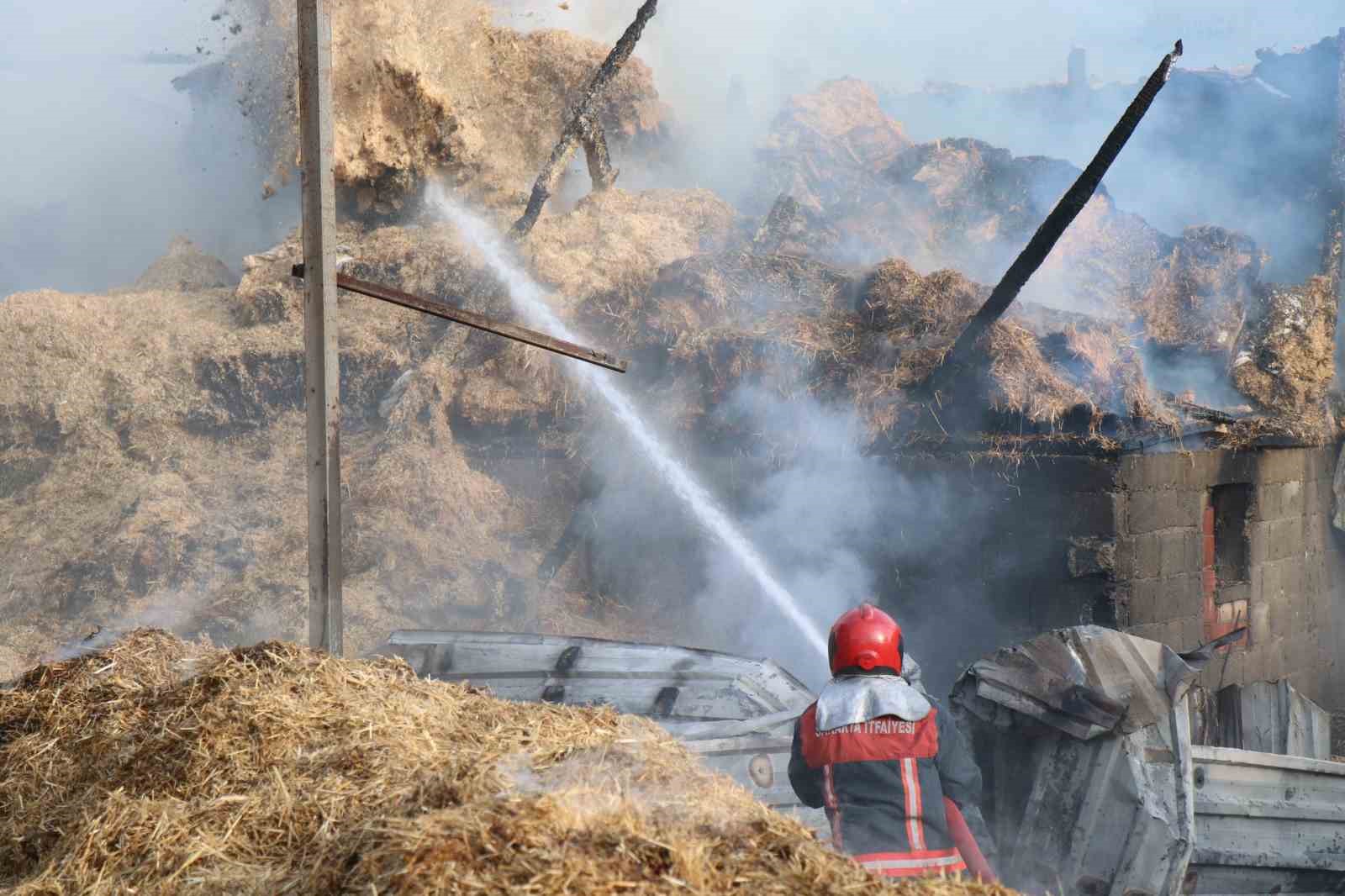 Ahırda başlayan yangın besi çiftliğini kül etti: 25 büyükbaş telef oldu
