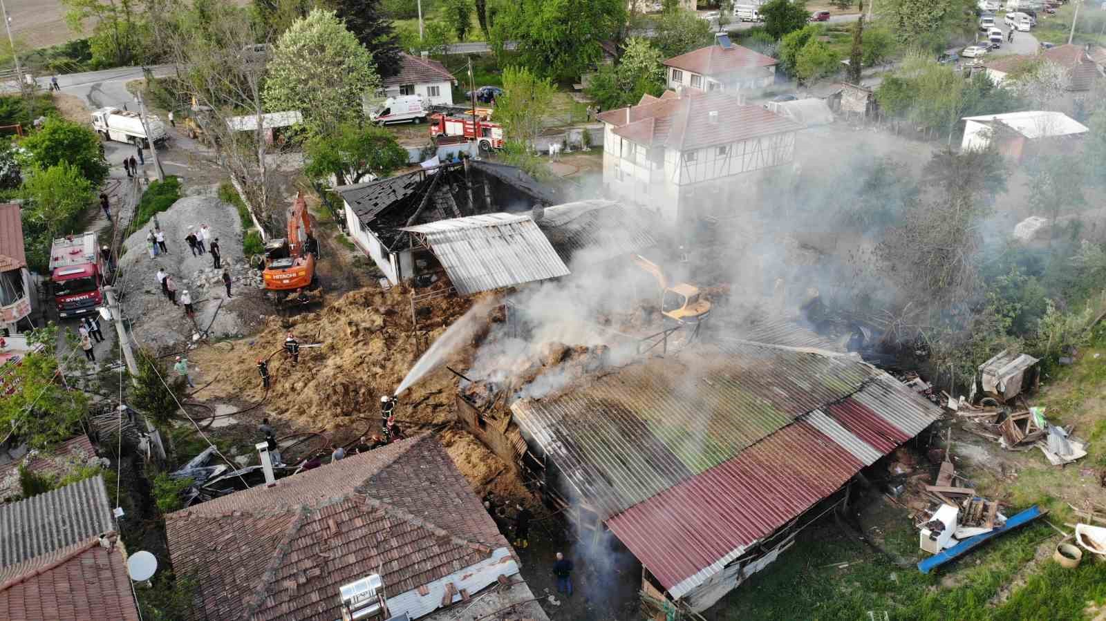 Ahırda başlayan yangın besi çiftliğini kül etti: 25 büyükbaş telef oldu
