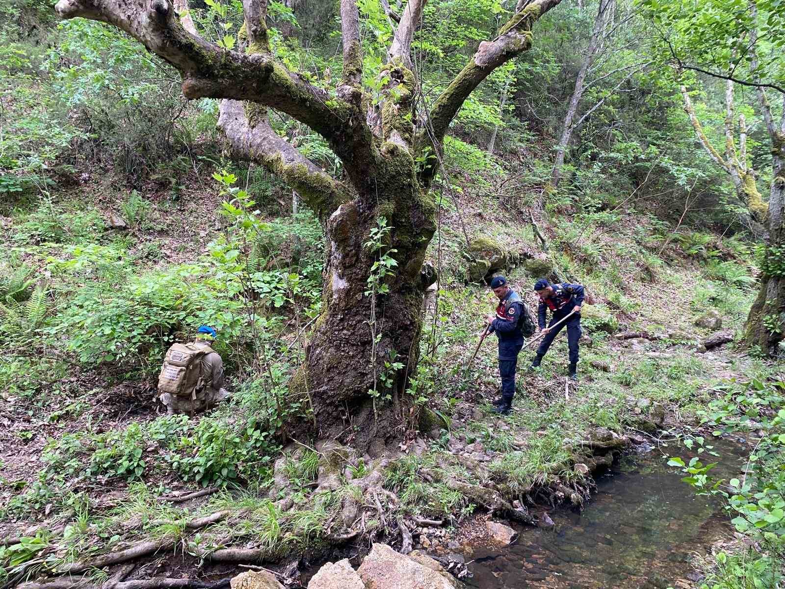 Arama çalışmalarında Korhan Berzeg’e ait yeni bulgulara ulaşıldı
