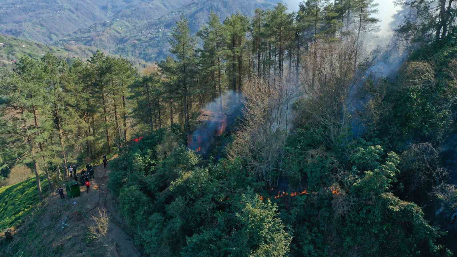Artvin’de çıkan orman yangınında bir kişi gözaltına alındı
