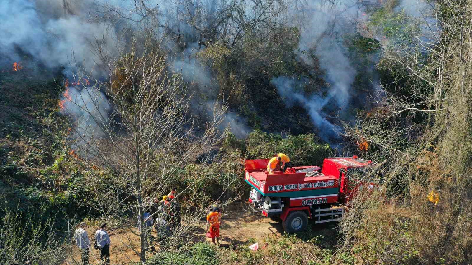 Artvin’de çıkan orman yangınında bir kişi gözaltına alındı
