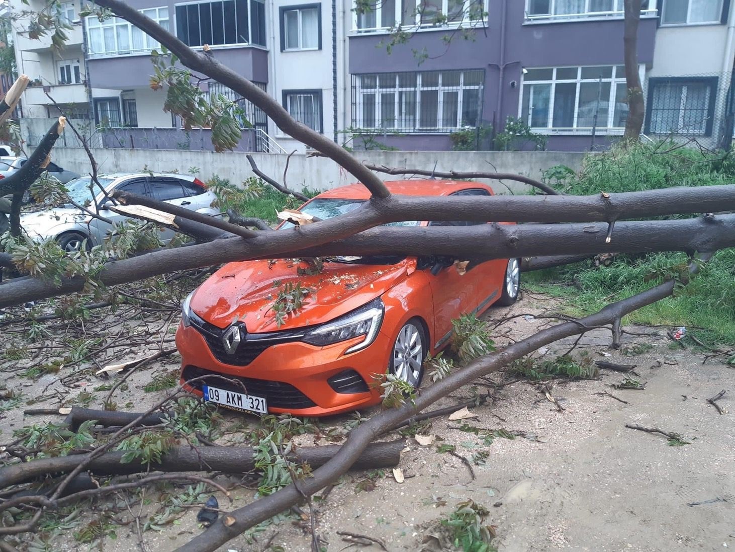 Bandırma’da, çürüyen ağaç otomobilin üzerine devrildi