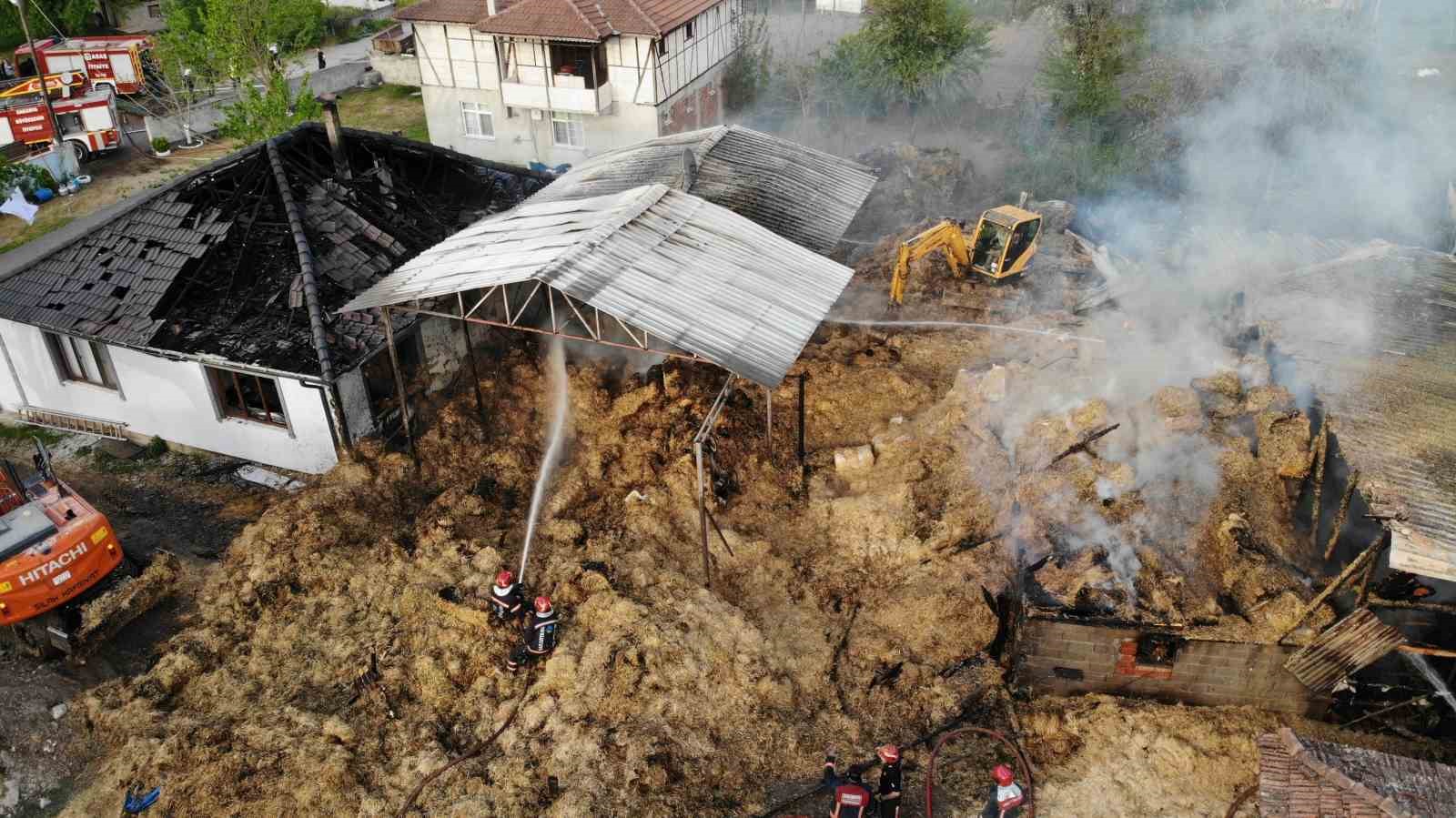 Besi çiftliğinde yangın: Çok sayıda kurbanlık büyükbaş telef oldu, 1 kişi dumandan etkilendi
