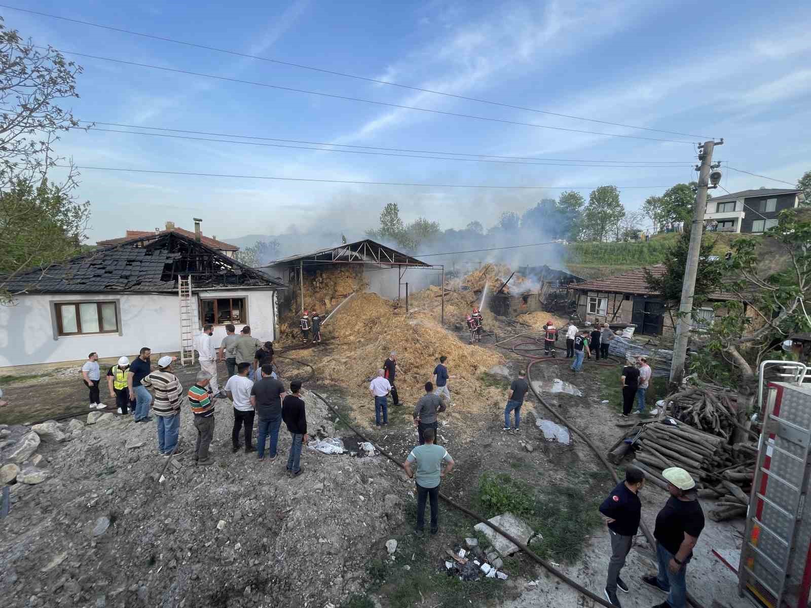 Besi çiftliğinde yangın: Çok sayıda kurbanlık büyükbaş telef oldu, 1 kişi dumandan etkilendi
