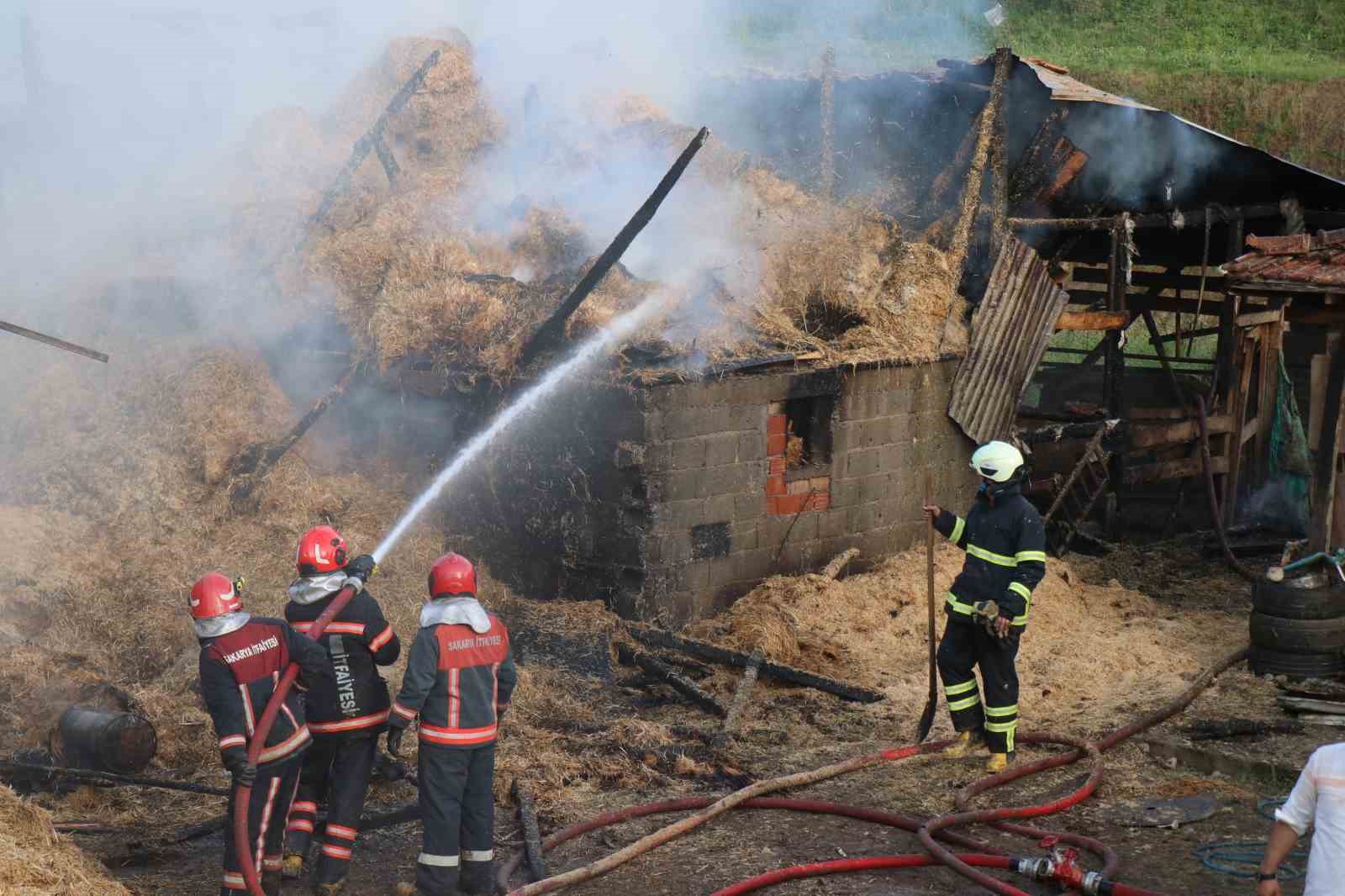 Besi çiftliğinde yangın: Çok sayıda kurbanlık büyükbaş telef oldu, 1 kişi dumandan etkilendi
