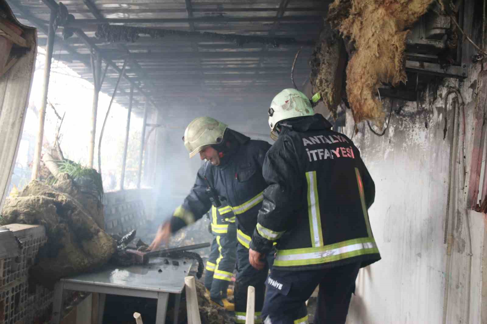 Çocukların ateşle oyununda gecekondu ve kamyonet küle döndü
