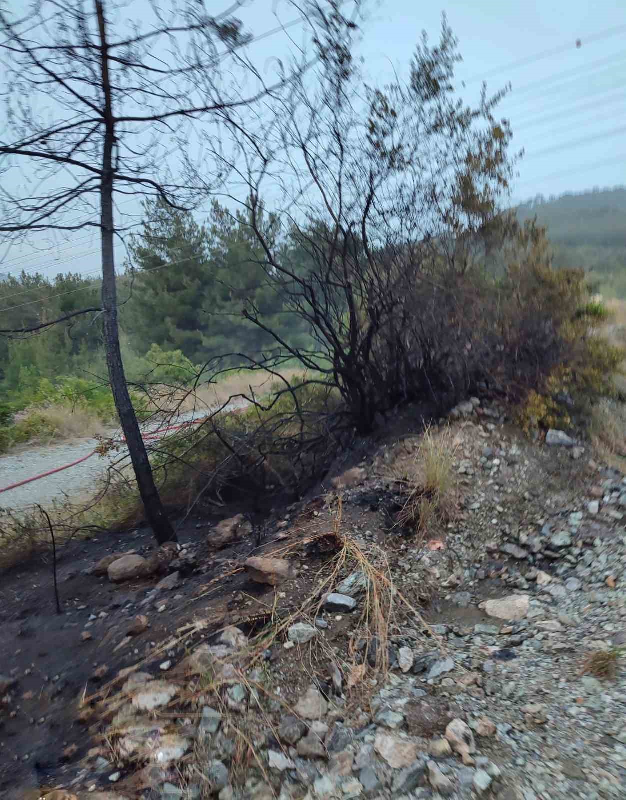 Dörtyol’da çıkan orman yangını söndürüldü
