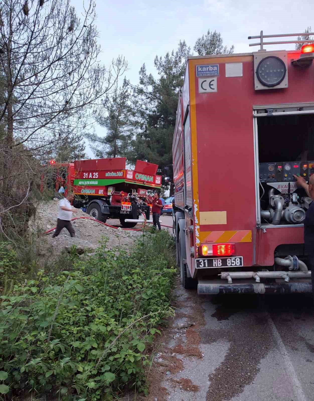 Dörtyol’da çıkan orman yangını söndürüldü
