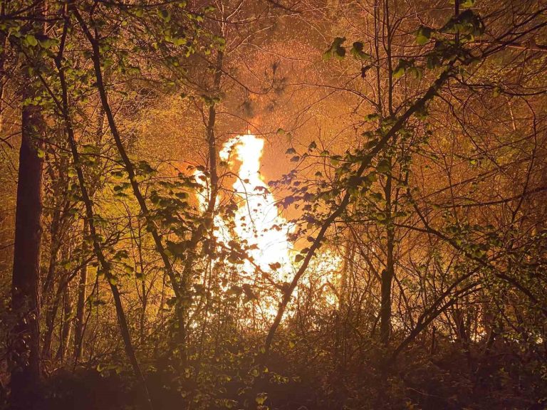 Düzce’de orman yangını: 3 dönüm arazi yandı