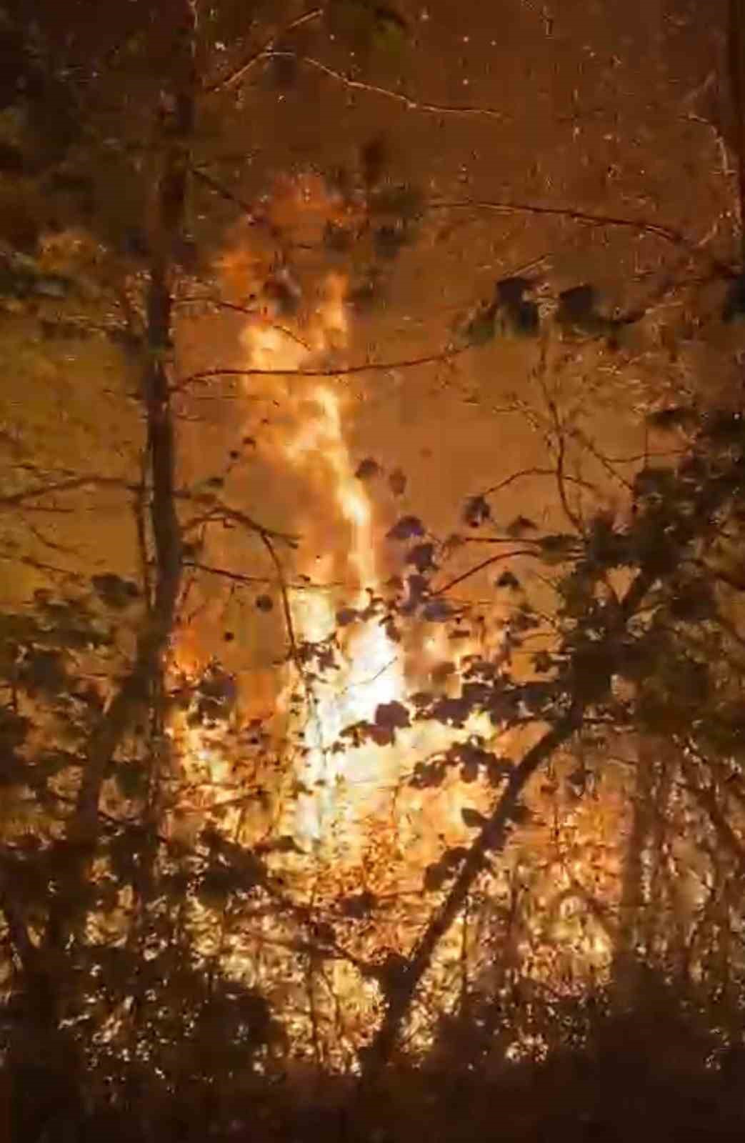 Düzce’de orman yangını: 3 dönüm arazi yandı
