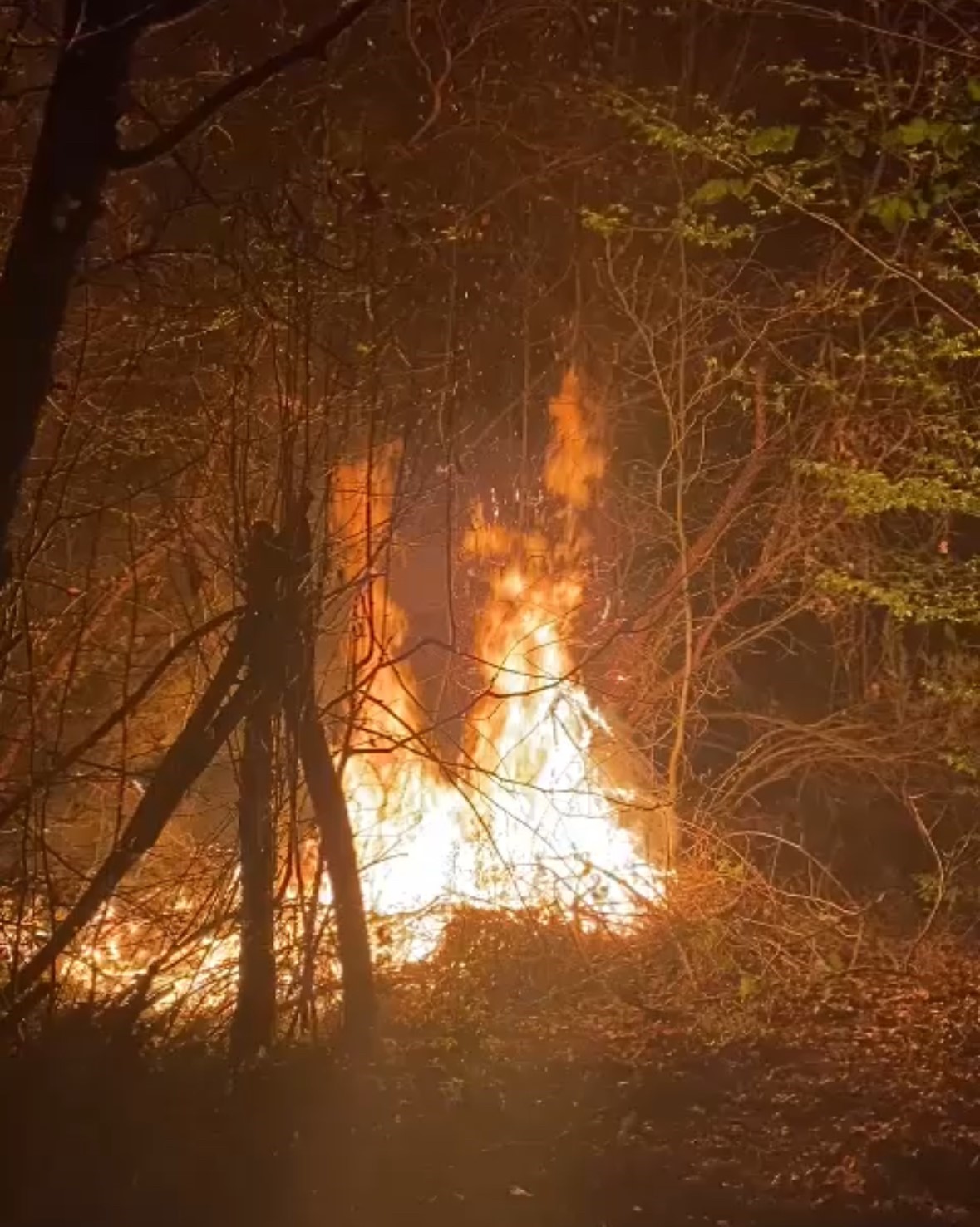 Düzce’de orman yangını: 3 dönüm arazi yandı
