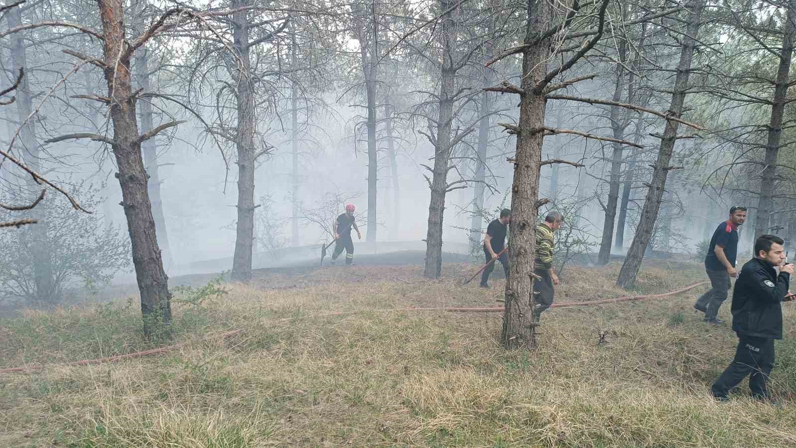 Havza Kılavuz Ormanı’nda korkutan yangın
