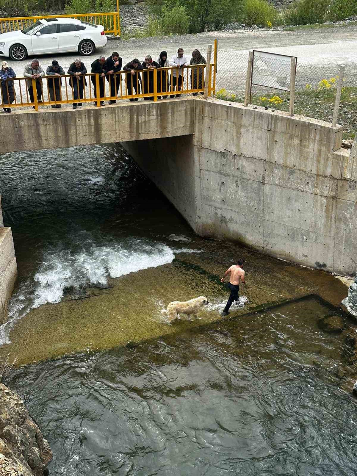 İhbar kendisine geldi, belediye başkanı köpek kurtarma operasyonuna katıldı
