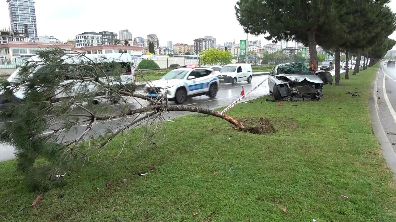 Kartal’da kontrolden çıkan otomobil ağaca çarptı: 1 yaralı
