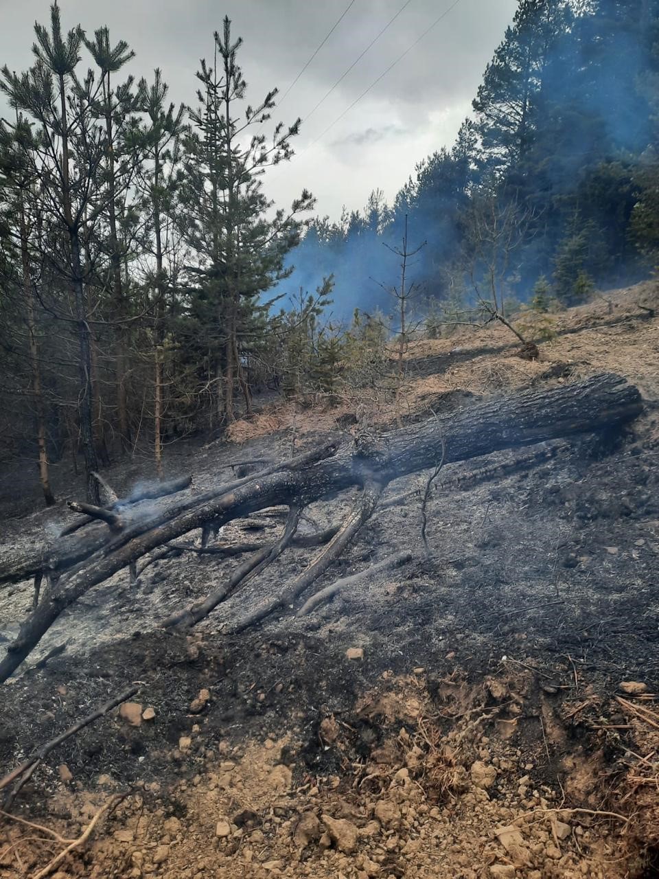 Kastamonu’da enerji nakil hattından çıkan yangın büyümeden söndürüldü
