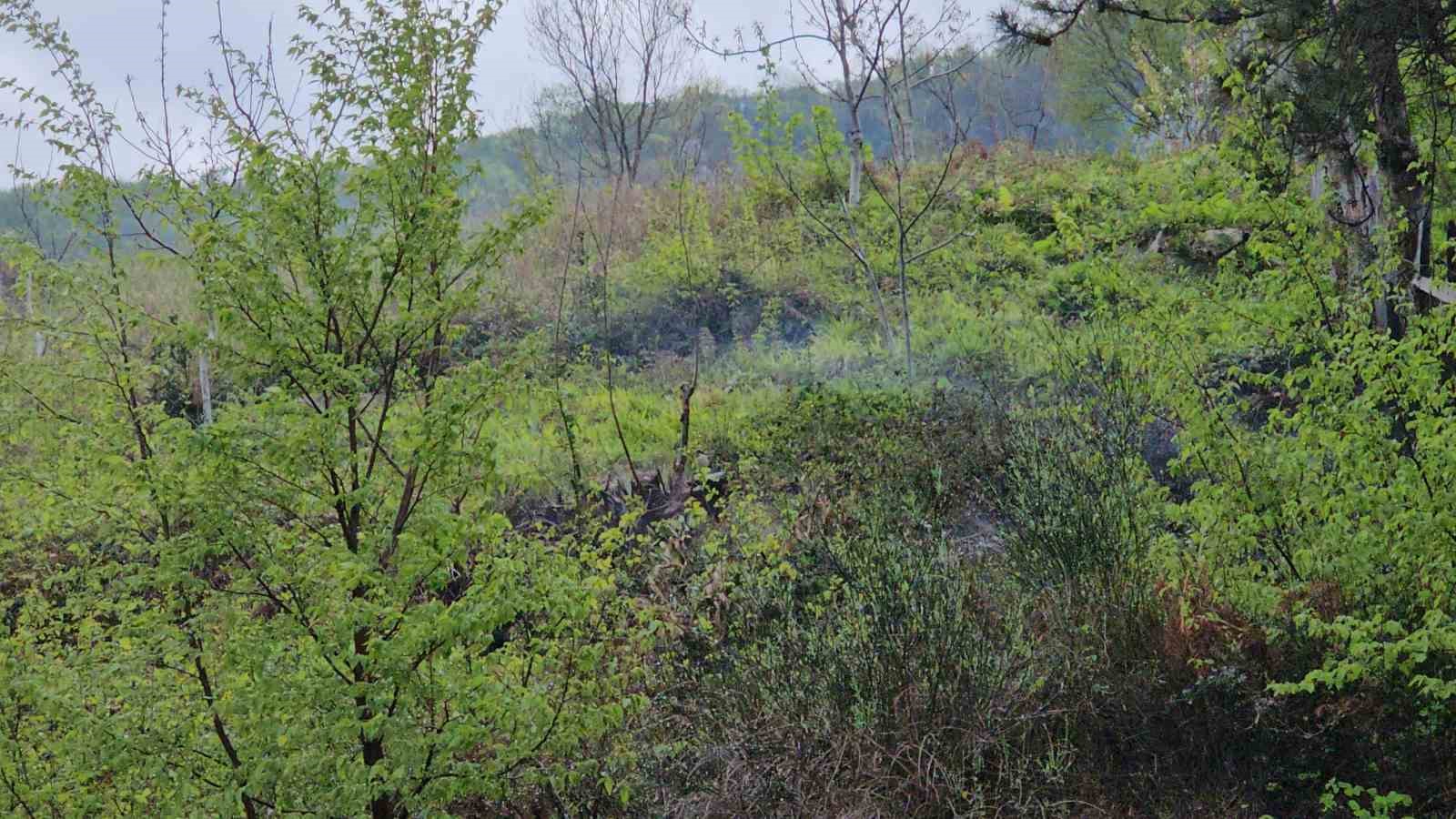 Kastamonu’da korkutan orman yangını: Büyümeden söndürüldü
